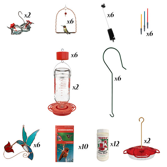 BestNest Starter Hummingbird Feeding Kit