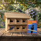 Cedar Crescent Entry Purple Martin House Package, 12 Room
