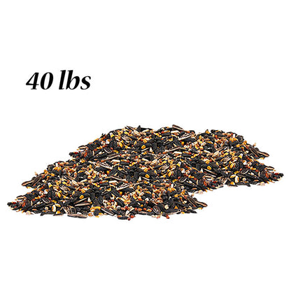 Wild Bird Seed Mix, No Millet Special
