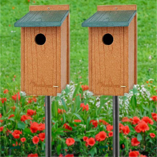 Audubon Premium Bluebird House Package with Poles