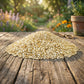 Safflower Seed