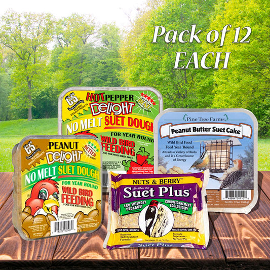 BestNest Suet Sampler Package, 48 Suet Cakes