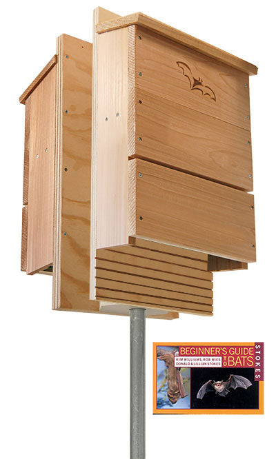 BestNest Double Triple-Celled Bat House Package, 600 Bats