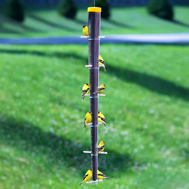 S&K Tornado Clear Collapsible Finch Feeder & Thistle Seed