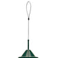 Squirrel Buster Classic Bird Feeder with Branch Hook Kit