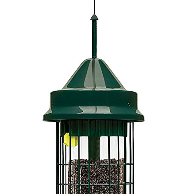 Squirrel Buster Classic Bird Feeder with Branch Hook Kit