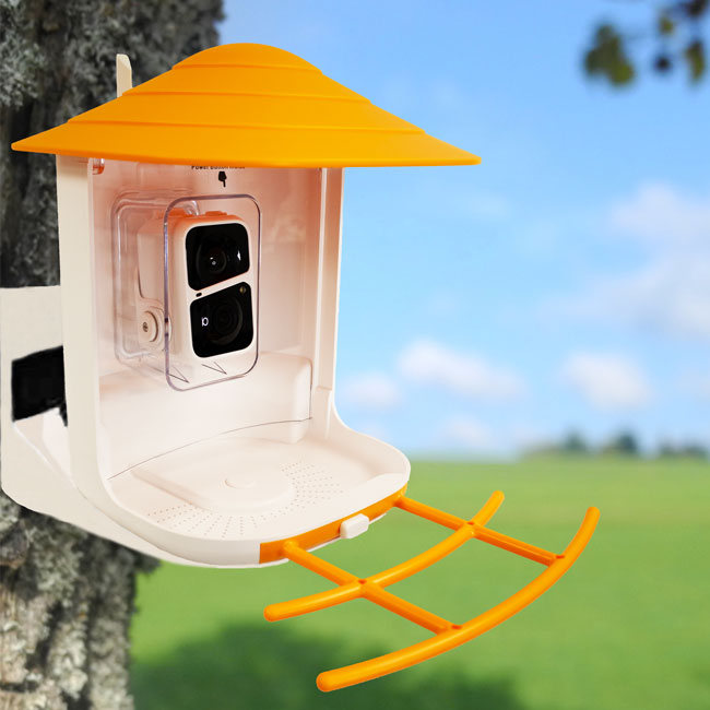 BeakView Bird Feeder Camera