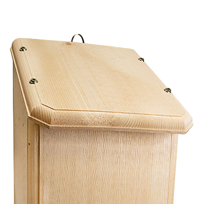 Coveside Bat Condominium, 50 bats