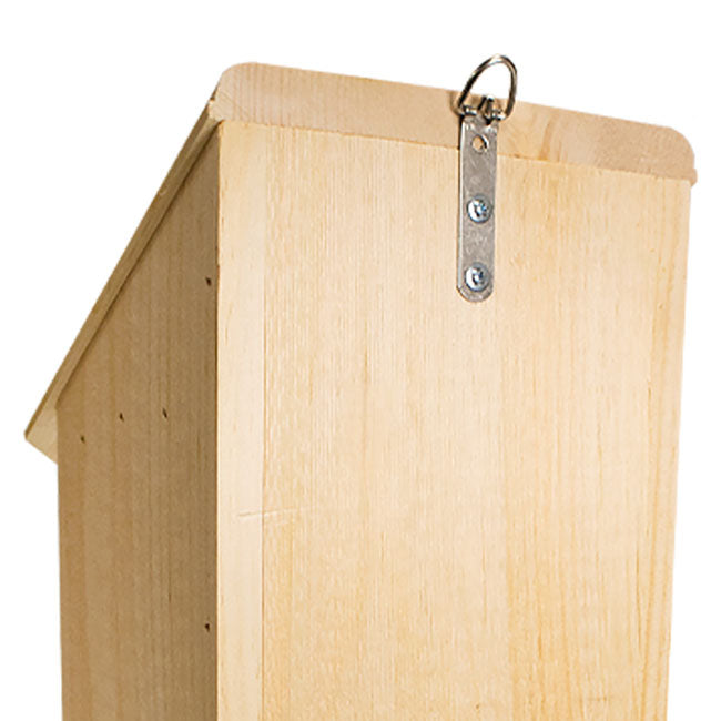 Coveside Bat Condominium, 50 bats