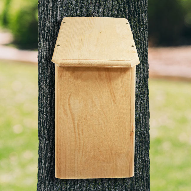 Coveside Bat Mansion, 150 bats