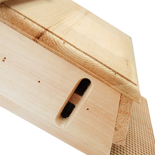 Coveside Sunshine's Bat House, Small, 100 bats