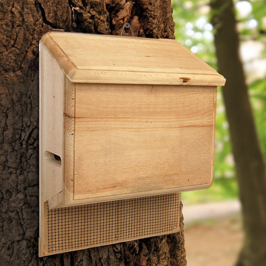 Coveside Sunshine's Bat House, Small, 100 bats