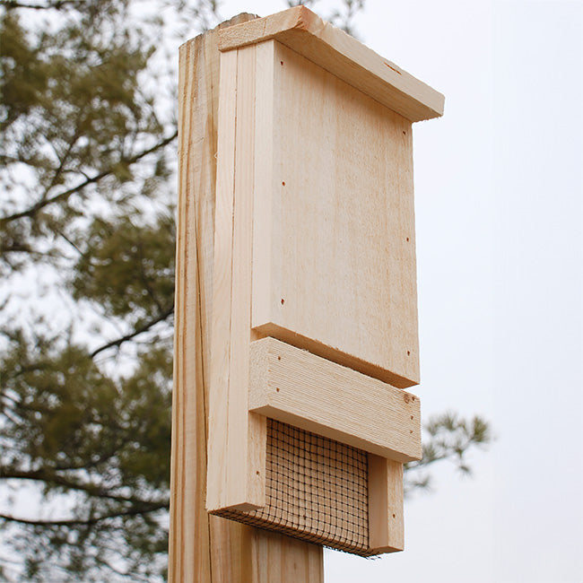 Coveside Mini Bat House, 12 bats