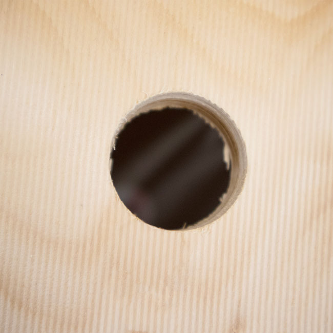 Coveside Window Nest Box