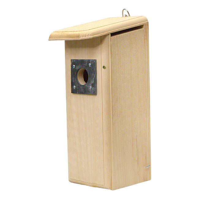 Coveside Downy Woodpecker House