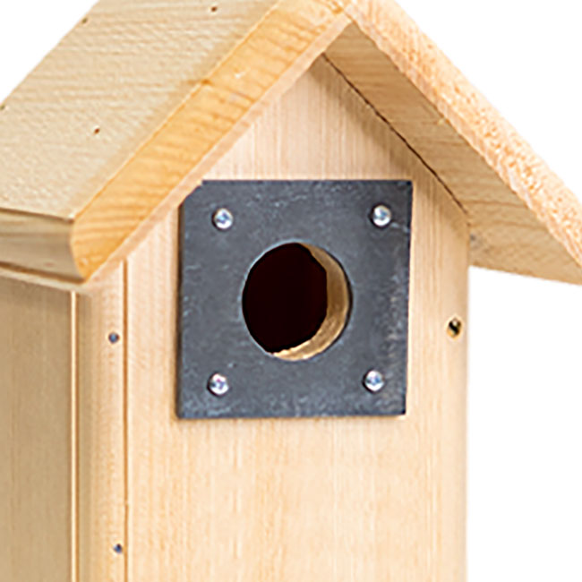Coveside Backyard Bird House