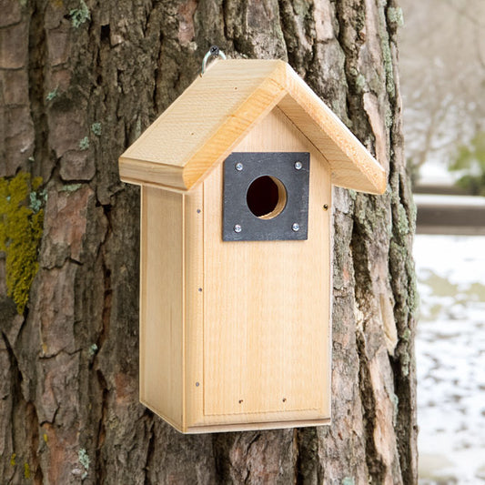 Coveside Backyard Bird House