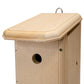 Coveside House Wren Bird House