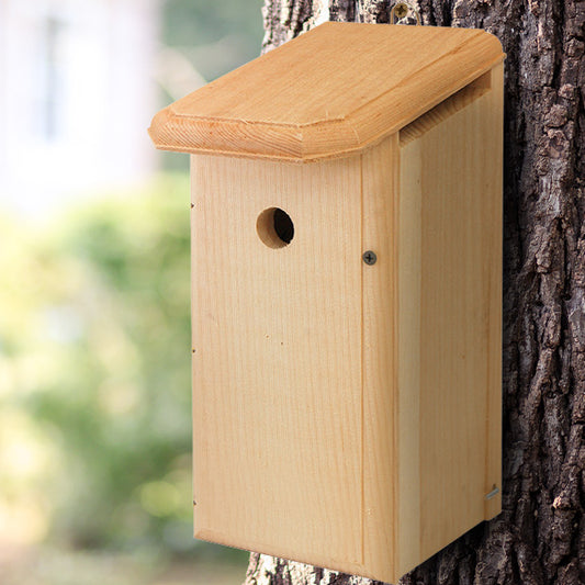 Coveside House Wren Bird House