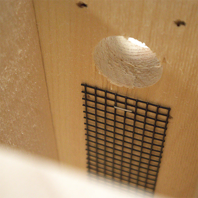 Coveside Classic Eastern Bluebird House with Large Roof