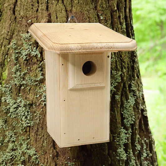 Coveside Classic Eastern Bluebird House with Large Roof