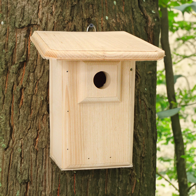 Coveside Classic Western Bluebird House w/ Extra Large Roof