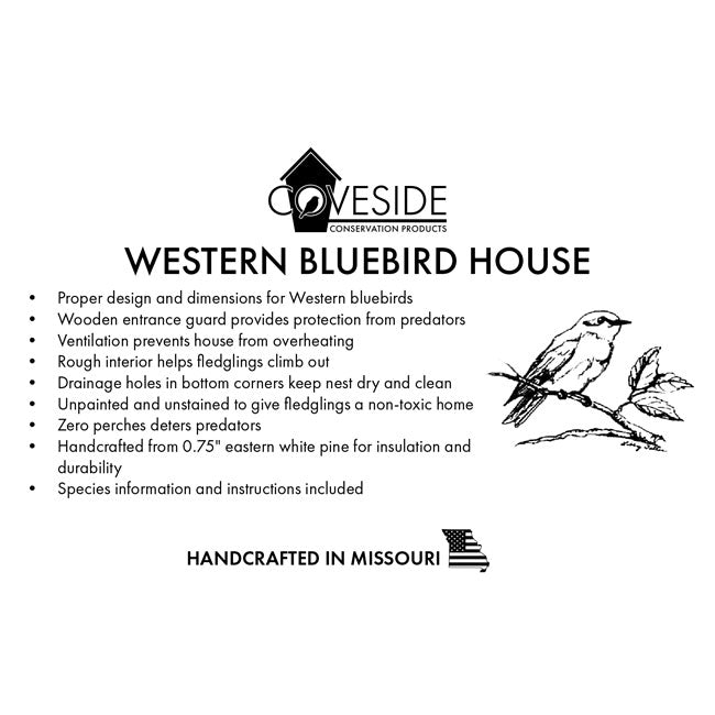 Coveside Western Bluebird House DIY Kits, Club Pack of 4