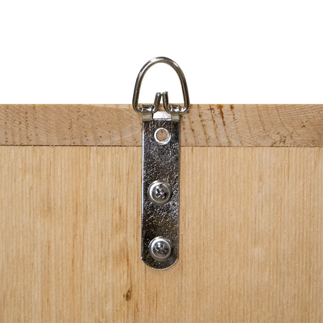 Coveside Western Bluebird House with Observation Window