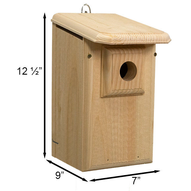 Coveside Western Bluebird House with Observation Window