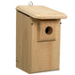 Coveside Western Bluebird House with Observation Window