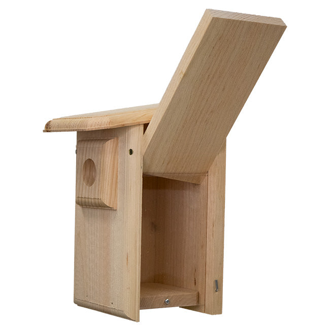 Coveside Western Bluebird House with Observation Window