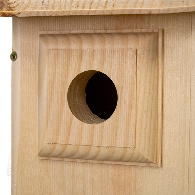 Coveside Western Bluebird House with Observation Window