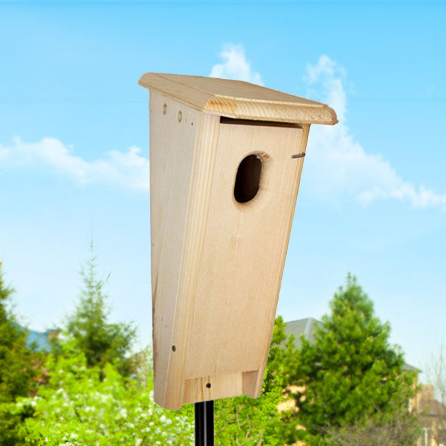 Coveside Slant-Front Bluebird Box