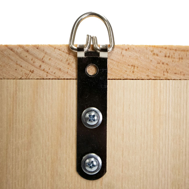 Coveside Saw-Whet and Screech Owl House