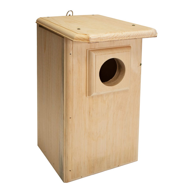 Coveside Saw-Whet and Screech Owl House
