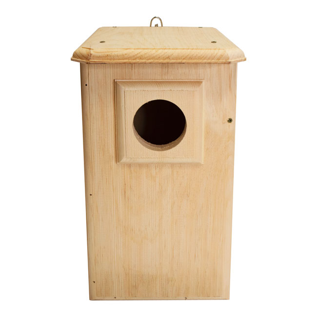 Coveside Saw-Whet and Screech Owl House