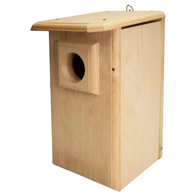 Coveside Saw-Whet and Screech Owl House