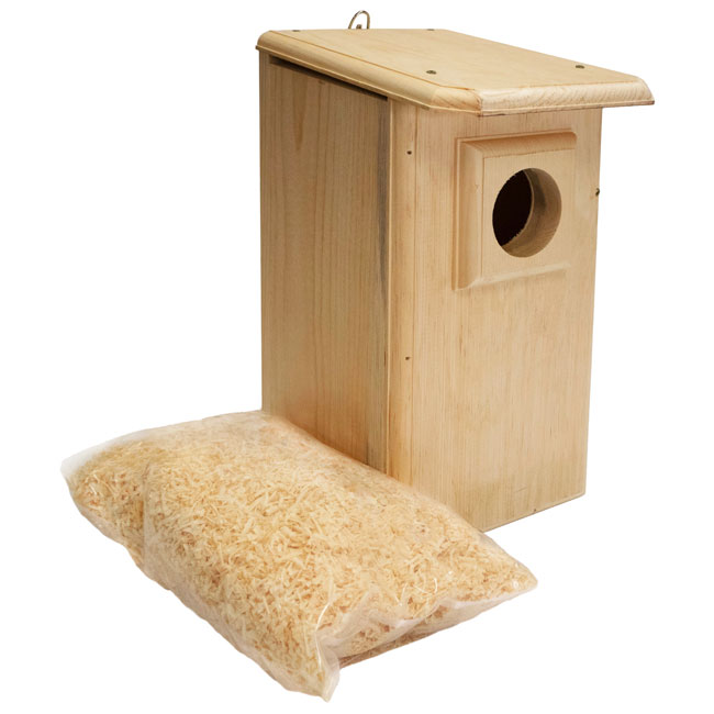 Coveside Saw-Whet and Screech Owl House