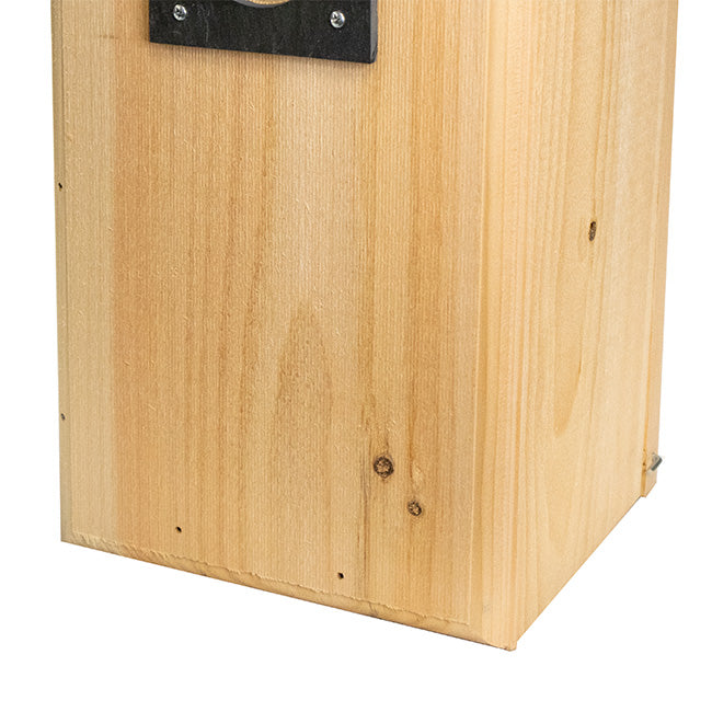 Coveside Flicker House