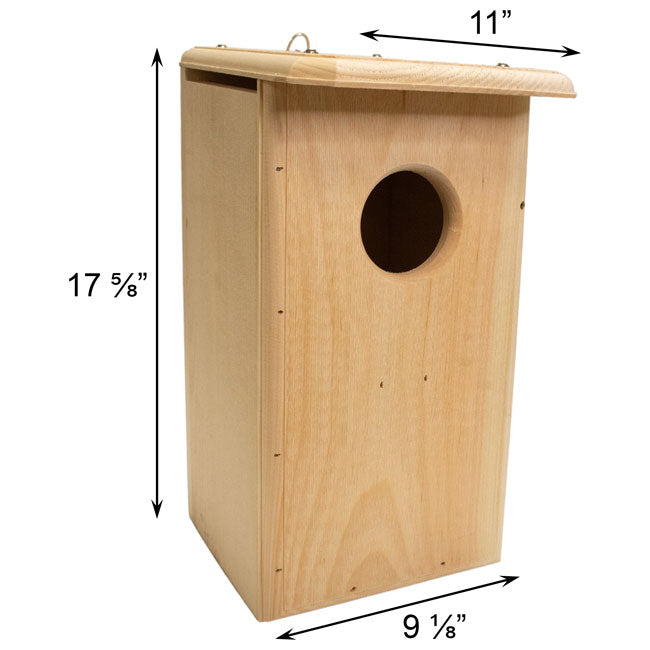 Coveside Kestrel & Screech Owl House
