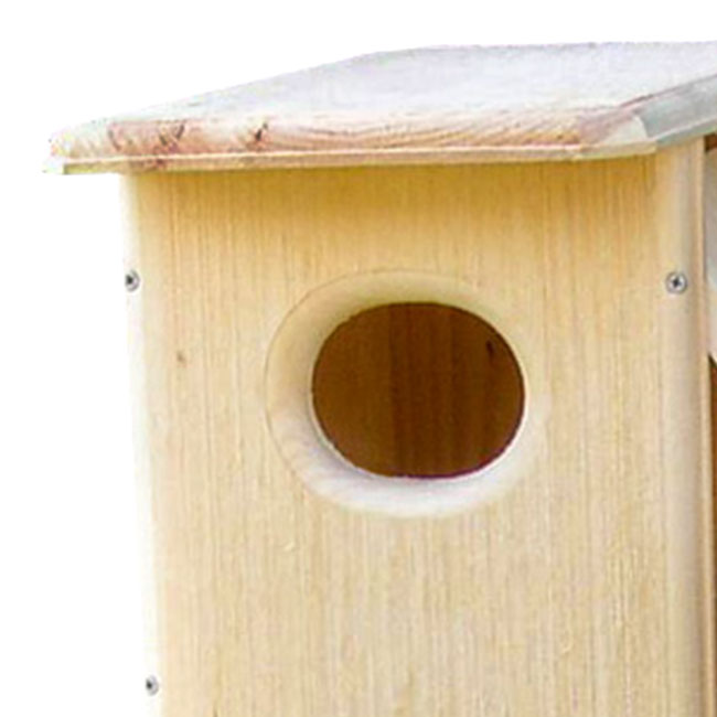 Coveside Common Merganser Duck House