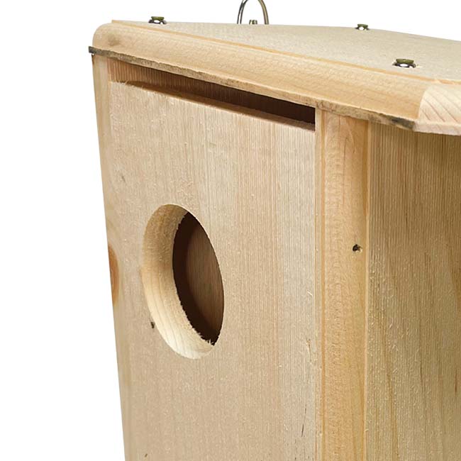 Coveside Squirrel House