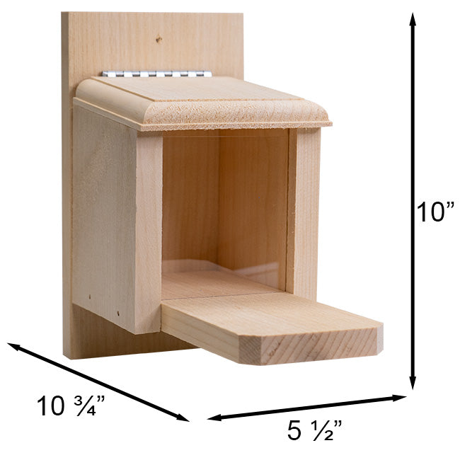 Coveside Peanut Box Squirrel Feeder