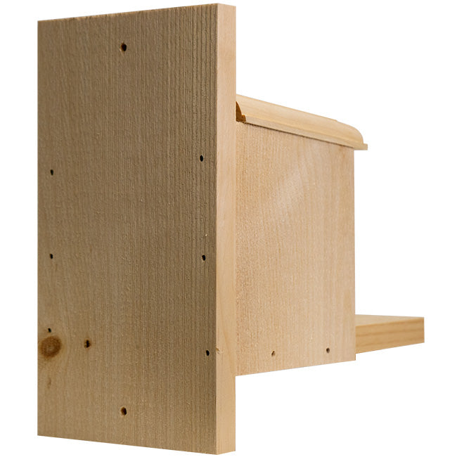 Coveside Peanut Box Squirrel Feeder