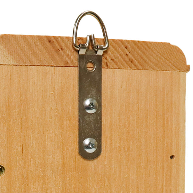 Coveside Small Butterfly House