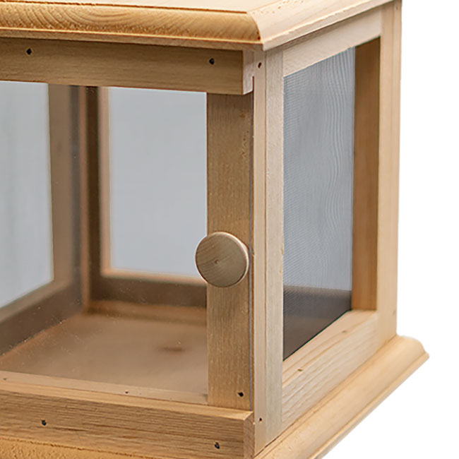 Coveside Butterfly Vivarium