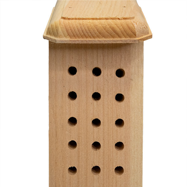 Coveside Solitary Bee House
