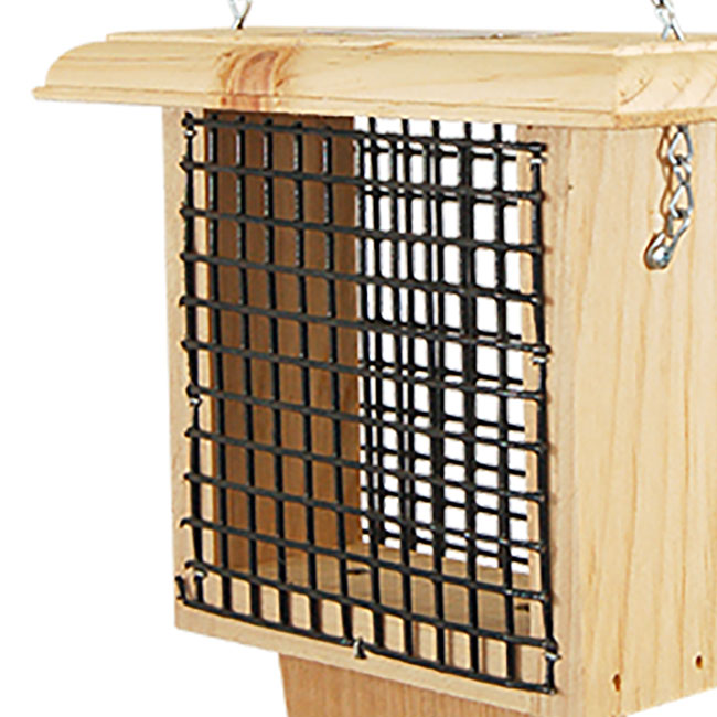 Coveside Woodpecker Suet Feeder with Tail Prop