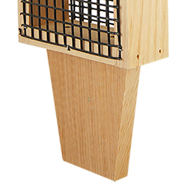 Coveside Woodpecker Suet Feeder with Tail Prop