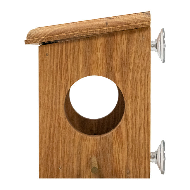 Coveside Premium Dual Side Entry Window Bird Feeder